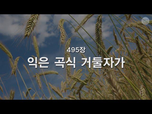 [새찬송가] 495장 익은 곡식 거둘 자가