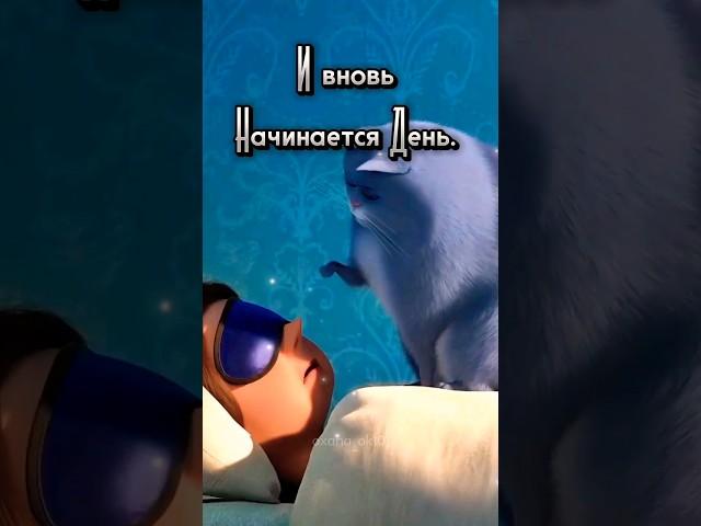 #доброеутро #понедельник #юмор