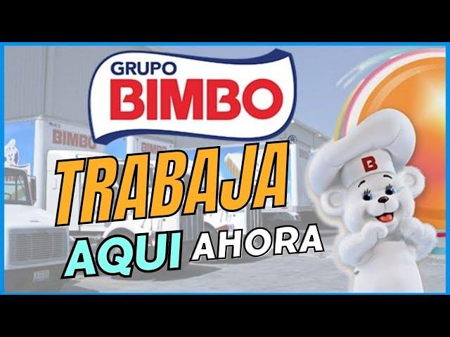 EMPLEO BIMBO/ BUSCO TRABAJO 2023/ SIN EXPERIENCIA