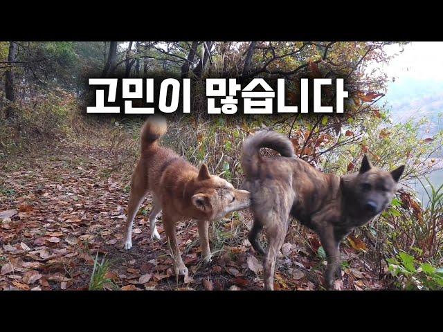 갑자기 고민이 많아졌습니다