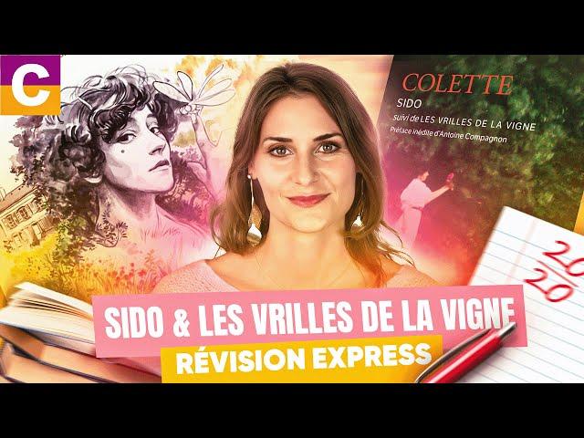Sido et Les Vrilles de la vigne, Colette : résumé et analyse - Bac de français 2025 !