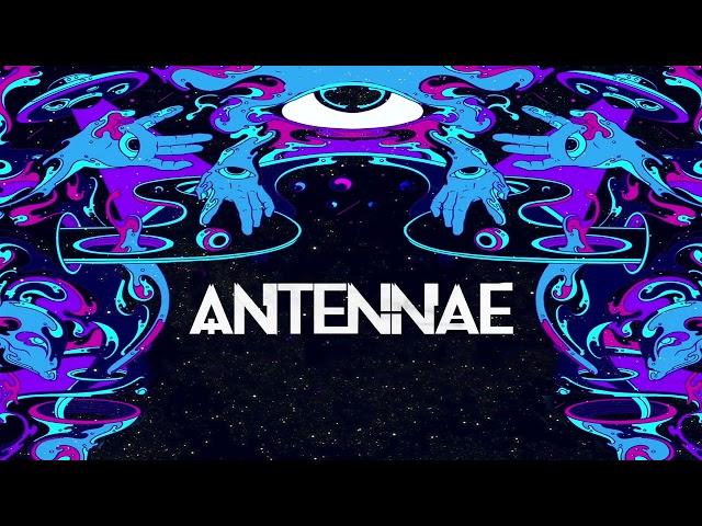 An-Ten-Nae - Is There Anybody Out There [OFFICIAL VISUALIZER]