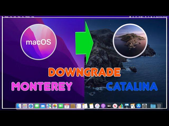 How to downgrade macOS Monterey