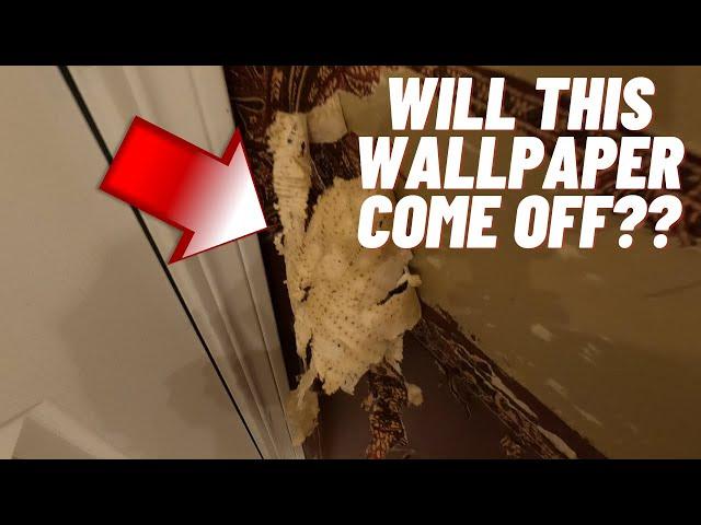 How To Remove Wallpaper Easily | Before And After | HANDYMAN HEADQUARTERS |