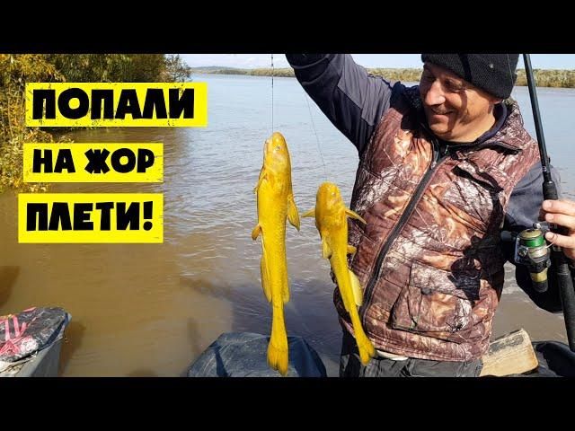 РЫБАЛКА НА АМУРЕ. ЖОР ПЛЕТЕЙ!