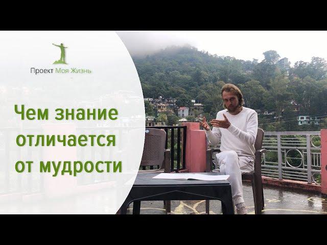 Чем знание отличается от мудрости.