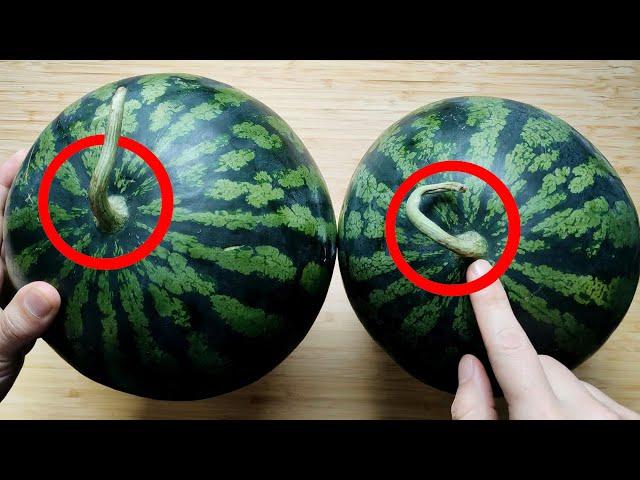 Whether watermelon is sweet or not, you can see it at a glance here. Tips for picking watermelons