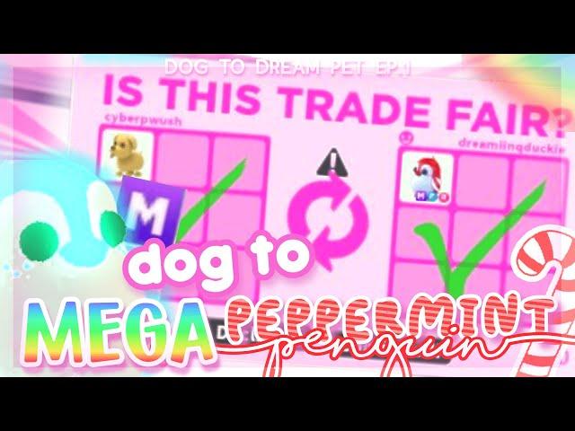 DOG TO MEGA PEPPERMINT PENGUIN TRADING  || DOG TO DREAM PET 1 