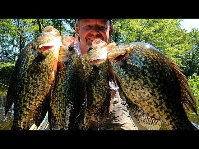Dog days of Summer Crappie fishing  - Lots of Fish, Tips and Tricks