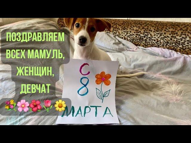 ВСЕХ МАМУЛЬ И ДЕВЧАТ С 8 МАРТА