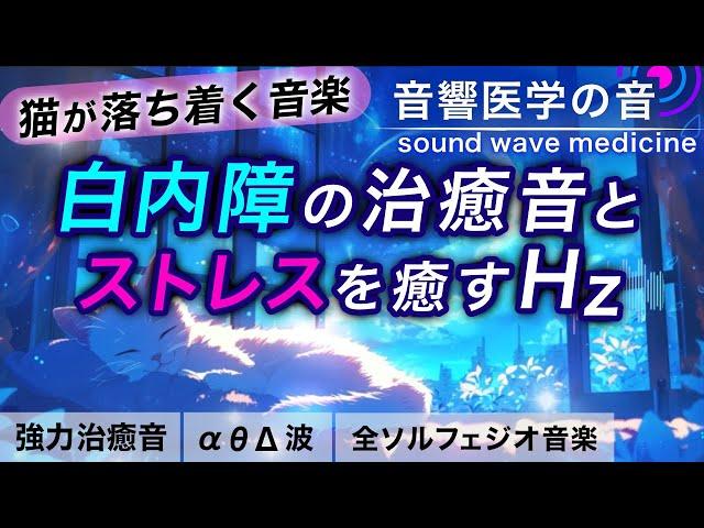 【猫が落ち着く音楽】白内障を回復し愛猫のストレスを癒す治癒音┃お留守番にも┃超回復のα波･θ波･デルタ波┃全ソルフェジオ周波数