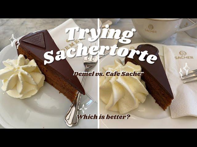 Trying Sachertorte Demel vs. Cafe Sacher - Which is Better?