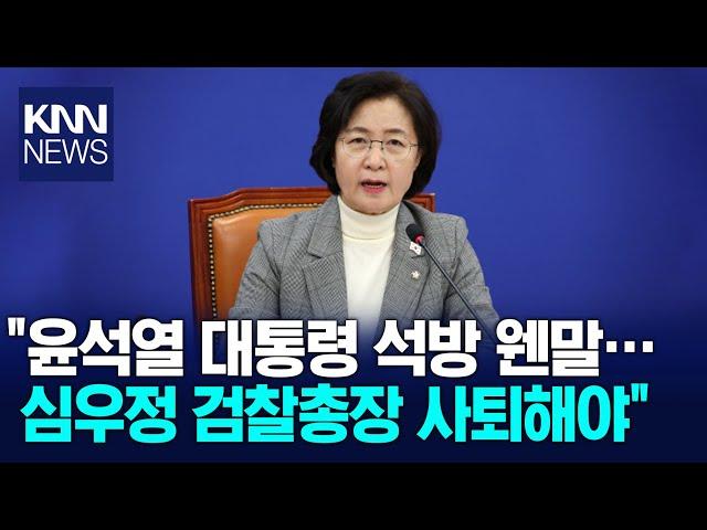 윤석열 내란진상조사단장 추미애 "심우정 검찰총장 사퇴해야" / KNN