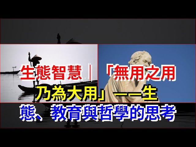 生態智慧｜“無用之用，乃為大用”——生態、教育與哲學的思考