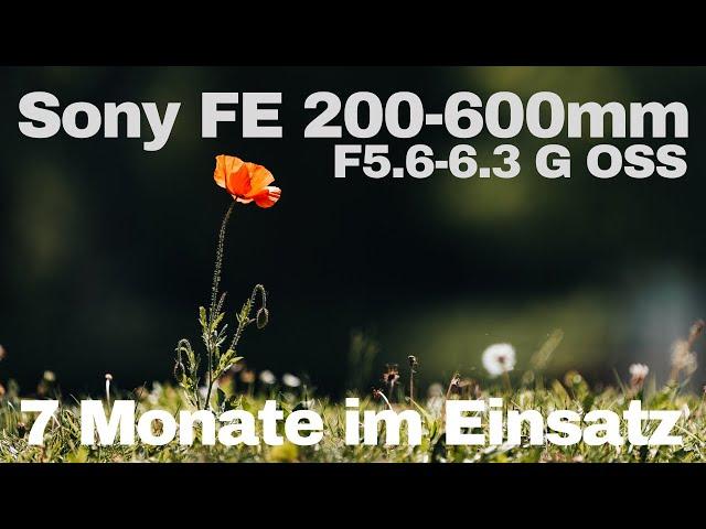 Erfahrungen mit dem Tele Zoom Objektiv SONY 200-600mm 5.6-6.3 G OSS - seit 7 Monaten im Einsatz