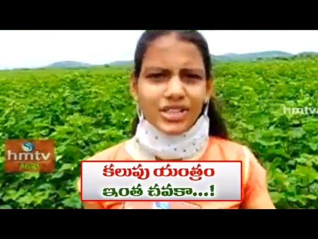 వ్యవసాయ విద్యార్థిని ప్రతిభ | Nelathalli | hmtv Agri