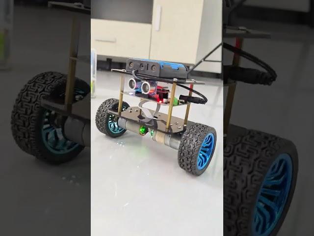 Two-wheeler balance mode demonstration #DIY #nano #programming #robot #arduino #arduinoproject