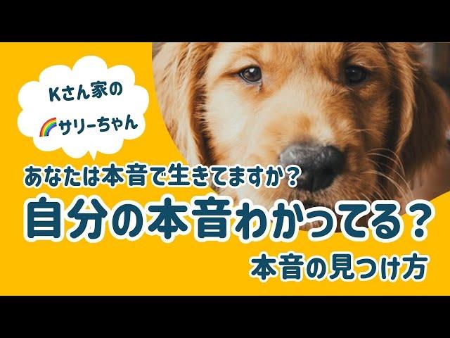 【アニマルコミュニケーション・動物と話す】人生の決断・選択を本音でできてますか？　後悔しない選択の方法！