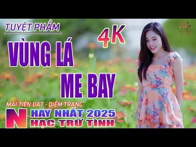 Vùng Lá Me Bay, Người Tình Không Đến Nhạc Trữ Tình Hay Nhất 2025 - Lk Bolero Nhạc Vàng Xưa Bất Hủ