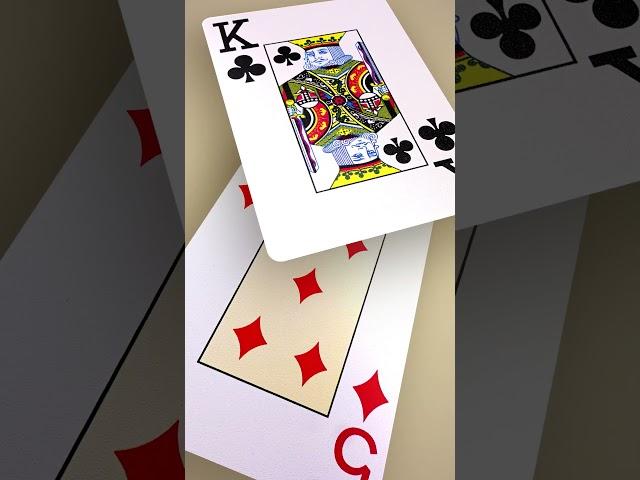 TAJ POKER - 100% Pure Plastic Premium Playing Cards | Made in India | T M Printers Pvt Ltd.