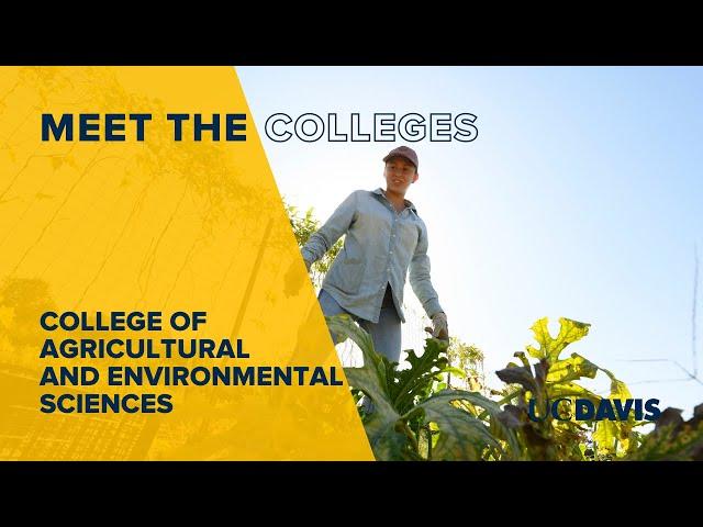 Meet the College of Agricultural and Environmental Sciences