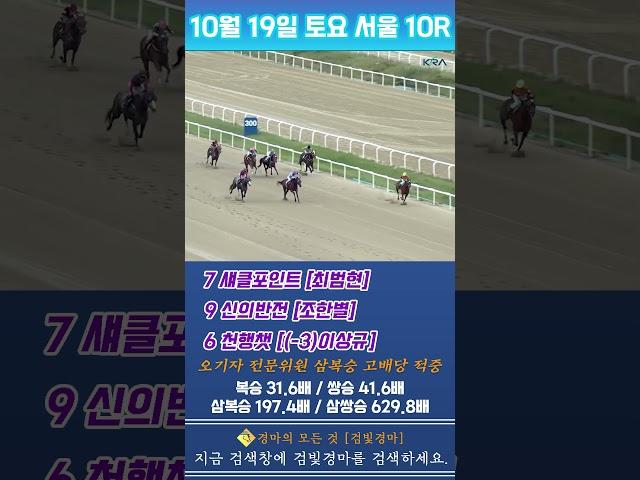 [서울] 10월 19일 토요 10경주 오기자 전문위원 삼복승 고배당 적중
