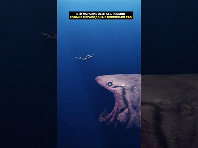 эти морские обитатели были больше мегалодона