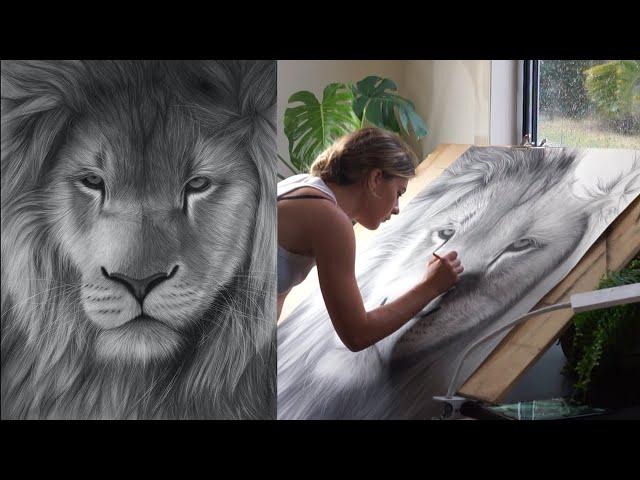 Drawing a Lion with Charcoal and Graphite Pencils