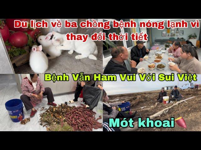 #531Du Lịch về Ba chồng Bệnh Nóng lạnh Vì Thay đổi Thời tiết,vẫn Ham Vui Với Sui Việt mót khoai