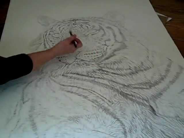 Animal Art | Nature Art| Wildlife Art- Siberian Tiger pencil Sketch