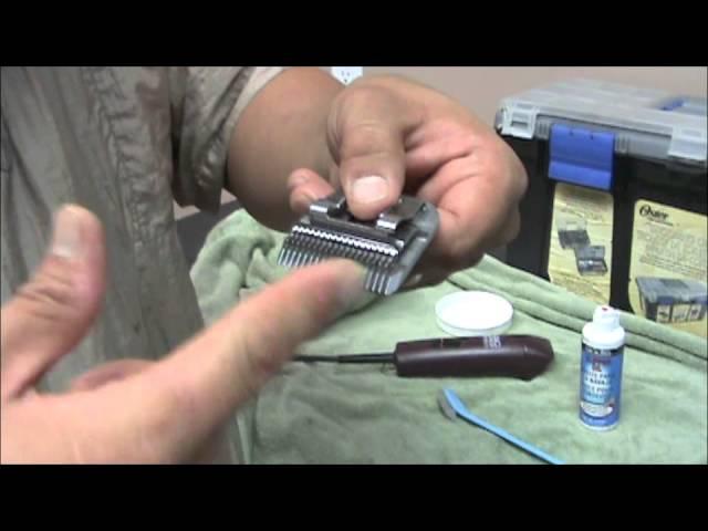 Proper Blade Maintenance: How to Clean & Oil Clipper Blades