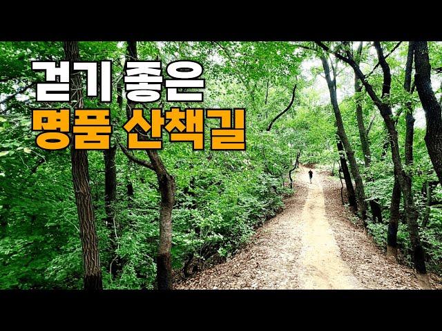 지하철역 5분! 꼭 가봐야 할 도심 속 숲길 명소 수리산 둘레길 함께 걸어요 | 흙길이라 누구나 걷기 좋아요 | 대중교통 당일치기 트레킹 코스 | 서울 근교 여행 코스 추천