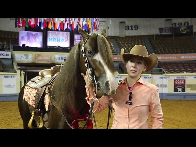 Kaci O'Rourke & The Firemen - NRHA Open L4 Futurity Champions.