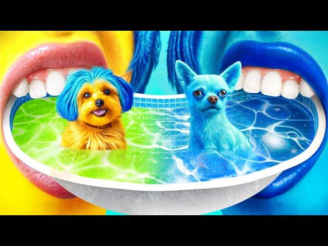 We Build a Waterpark for Pets! Inside Out 2 in Real Life!