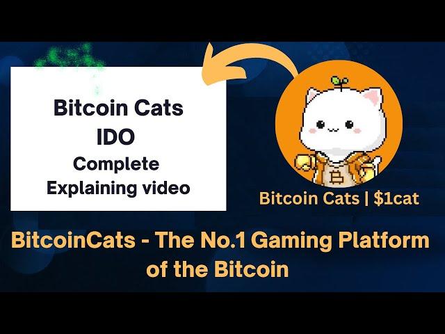 Bitcoin Cats (1cat) Complete Explaining video