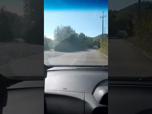 24 сентября 2024 г.