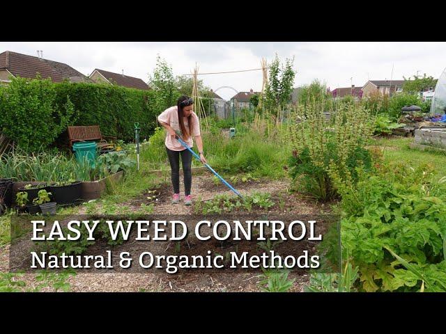 Chemical Free Weed Control |  3 Natural & Organic Methods