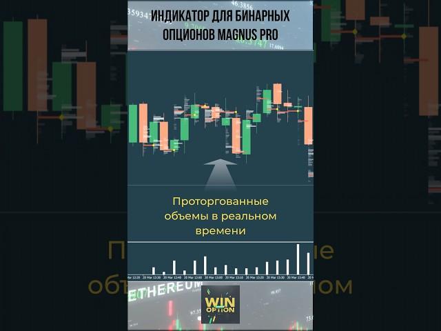 Индикатор для бинарных опционов Magnus Pro