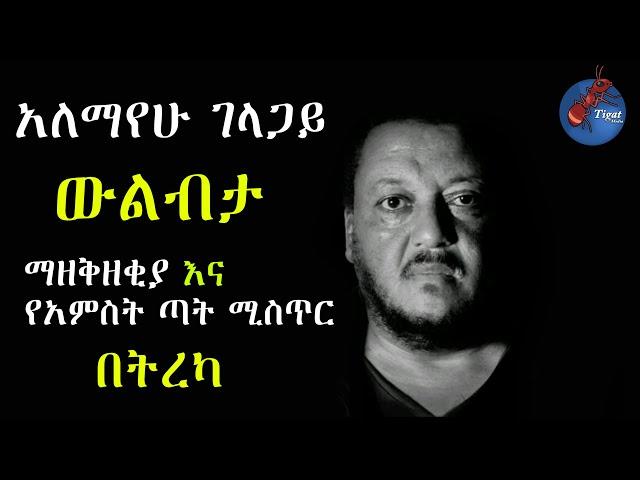 ከአስደናቂው አለማየሁ ገላጋይ መፅሐፎች ውስጥ ውልብታ የተሰኘውን መፅሐፍ በትረካ ክፍል 1 | ማዘቅዘቂያ እና የአምስት ጣት ሚስጥር | Tigat Media