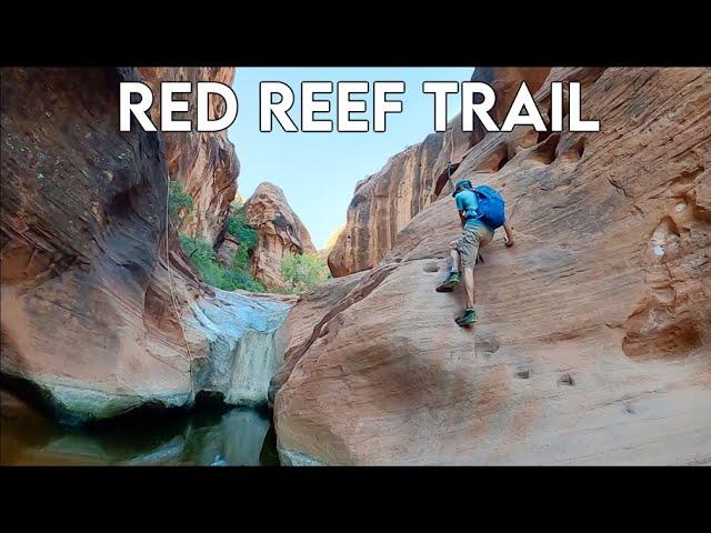 Hiking Red Reef Trail and Prospector Trail Loop | Best Hikes in Southern Utah