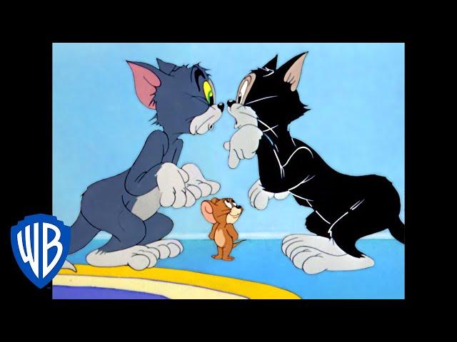 Tom y Jerry en Latino | Diversión Bajo Techo | WB Kids