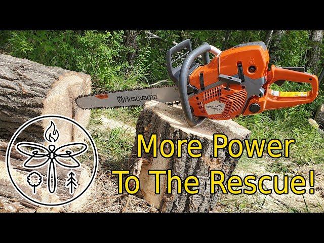 Husqvarna 572XP Chainsaw | There's A New Sheriff On The Homestead