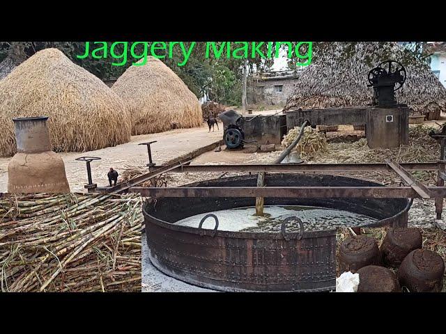 Traditional Jaggery   Making Process | Jaggery Making Step By Step |