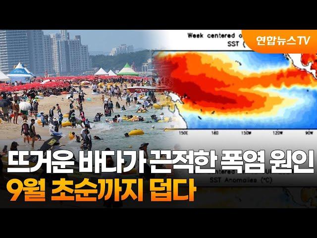 뜨거운 바다가 끈적한 폭염 원인…9월 초순까지 덥다 / 연합뉴스TV (YonhapnewsTV)