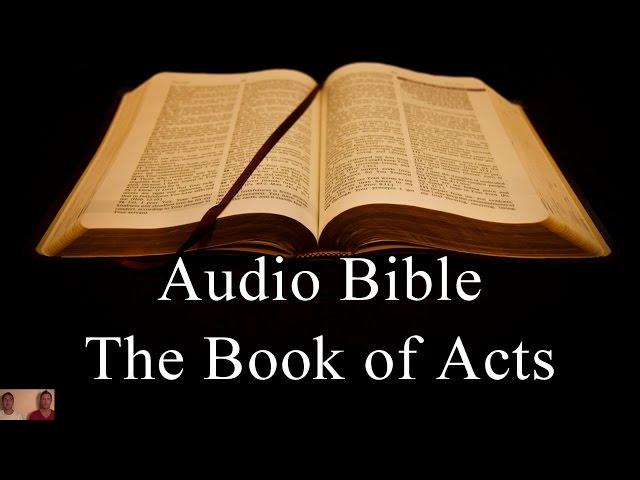 The Book of Acts - NIV Audio Holy Bible - High Quality and Best Speed - Book 44 The Two Preachers