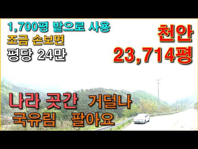 천안임야 23,714평  /  밭으로 사용 1700평 있음■  / 주말농장으로 수익 가능 // 도로접 / 전기 기본,  천안시내 근거리,  국유재산 처분