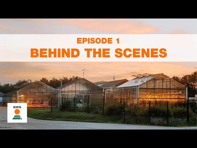 KWS Behind the Scenes | Ep:1 | Drilling wheat after beet trials