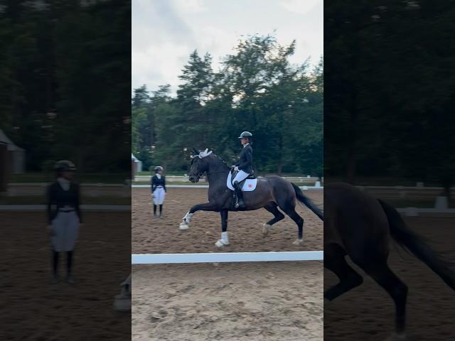 Our fist level L dressage competition together and second place with 7,6  danke Daristnder!