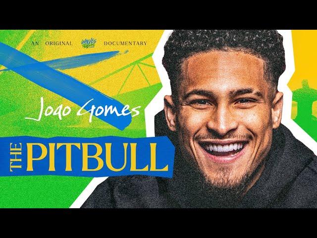 Joao Gomes: The Pitbull | Wolves Studios Documentary