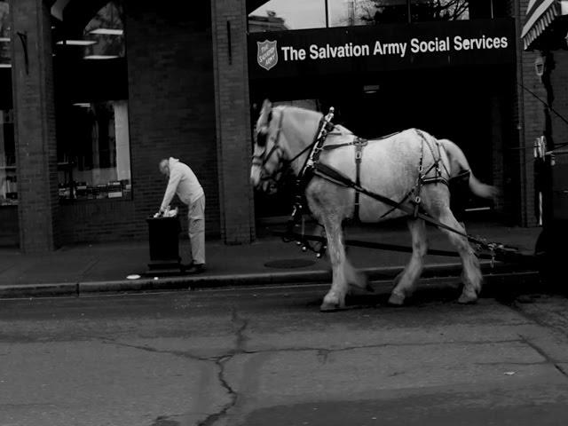 Victoria Citizens Respond to Horse Carriages in the City